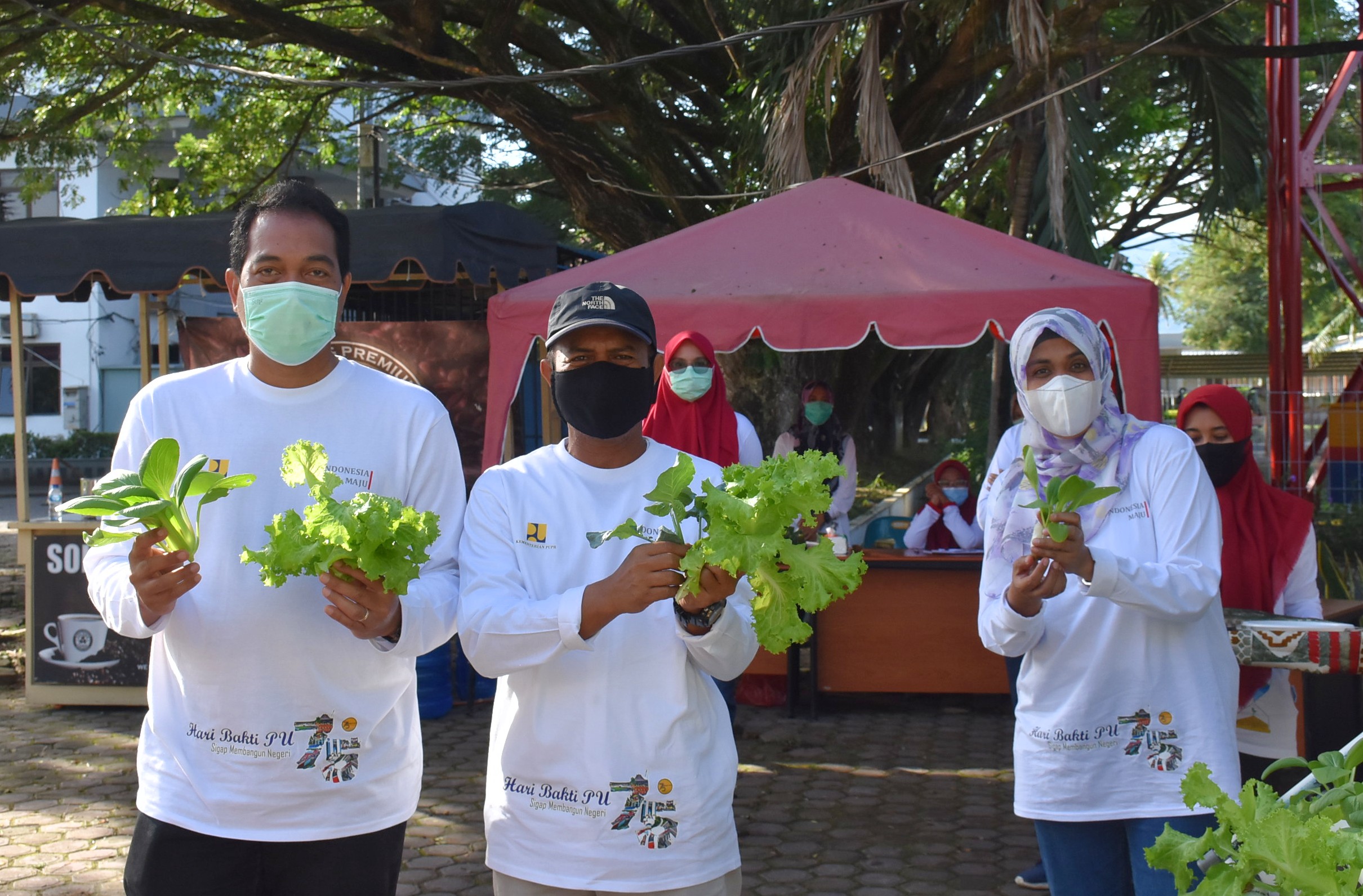 Meriahkan Hari Bakti PUPR ke-75, Balai Wilayah Sungai Sumatera I Mengenalkan Biopori dan Panen Hidroponik