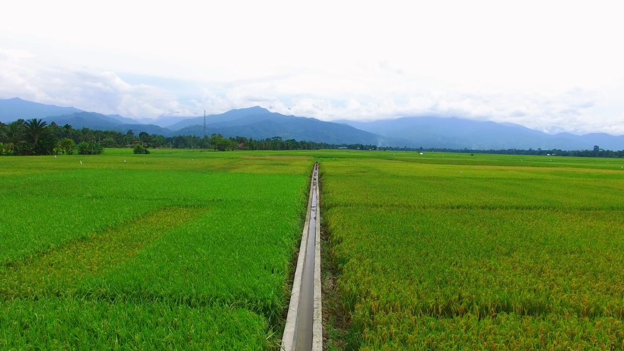 Pelaksanaan Program Padat Karya Percepatan dan Peningkatan Tata Guna Air Irigasi (P3-TGAI) Provinsi Aceh Tahun 2021