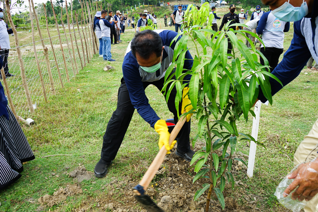 Kepala BWS Sumatera I Sedang Melakukan Tanam Pohon