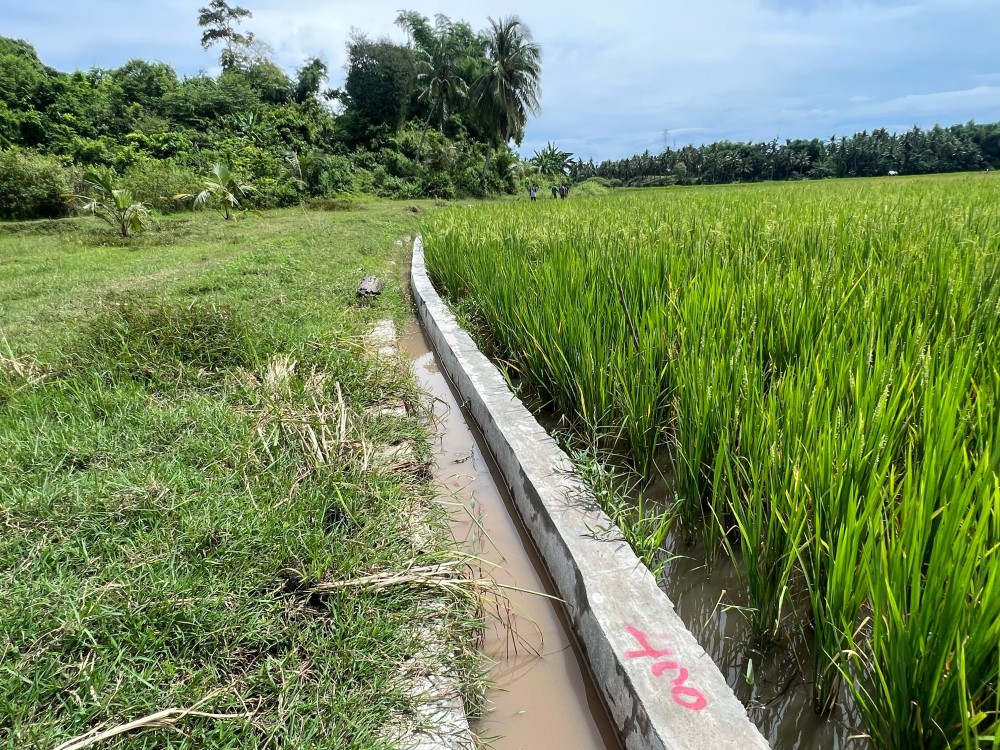Percepatan Peningkatan Tata Guna Air Irigasi (P3-TGAI) TA 2025 di Desa Paloh Me Kabupaten Bireuen
